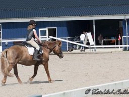 img-99271-596